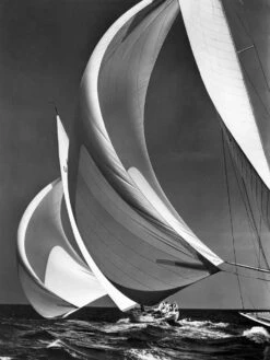 Two Sailboats Racing With Their Spinakers On A Reach, 1940s
