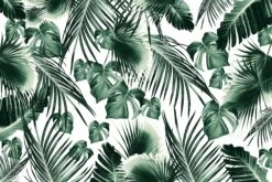 Tropical Jungle Leaves 7