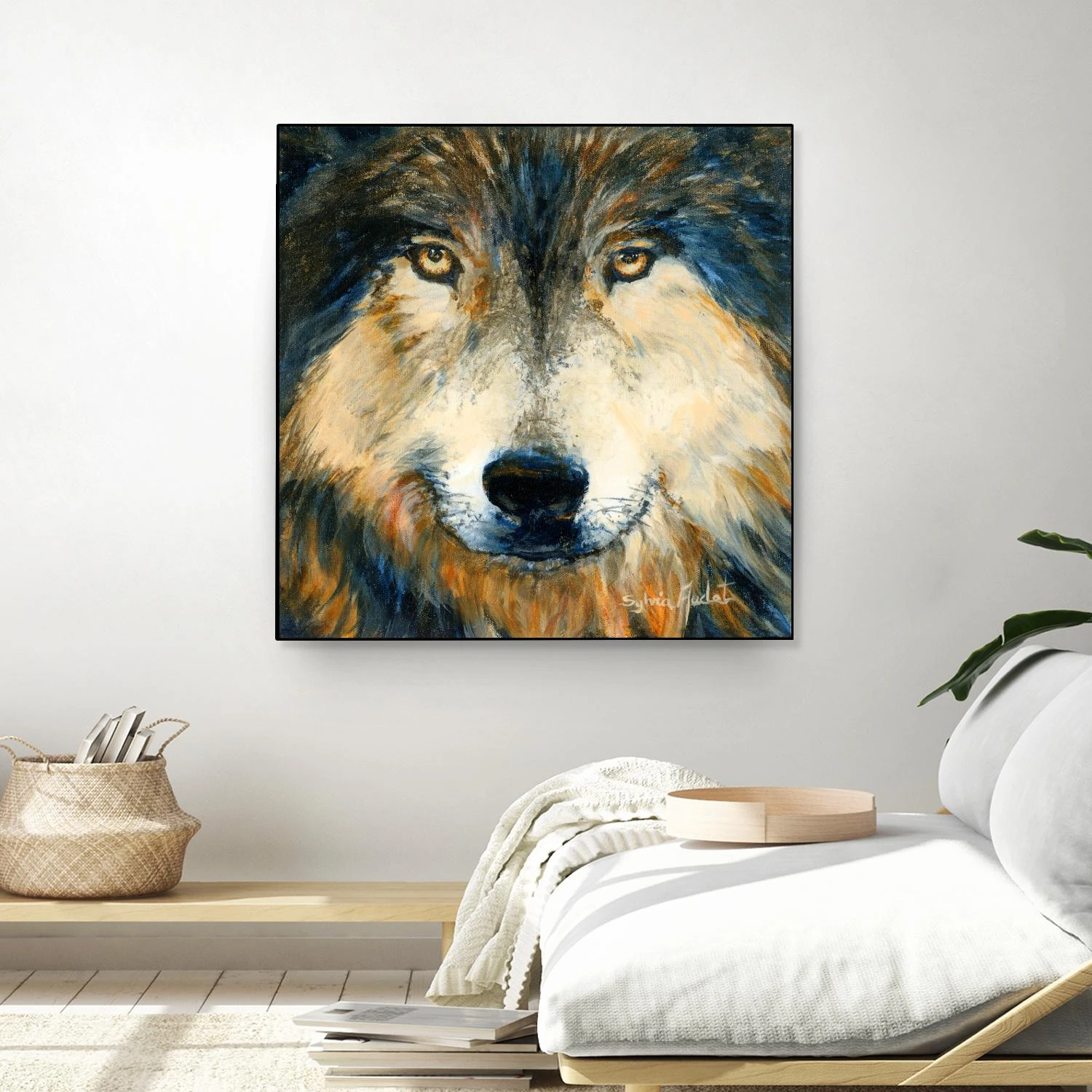 Regard Inquiet Du Loup - Image 20