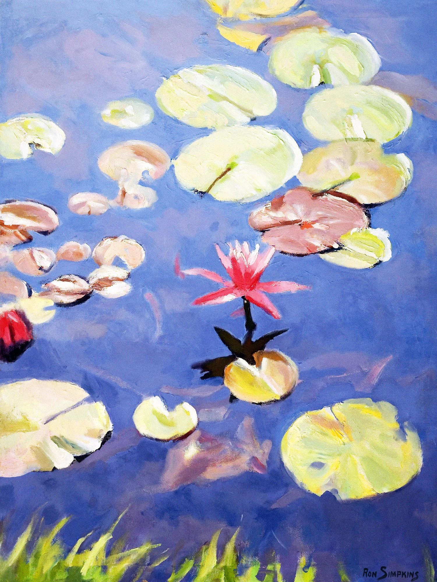 Nature's Beauty Is Simple