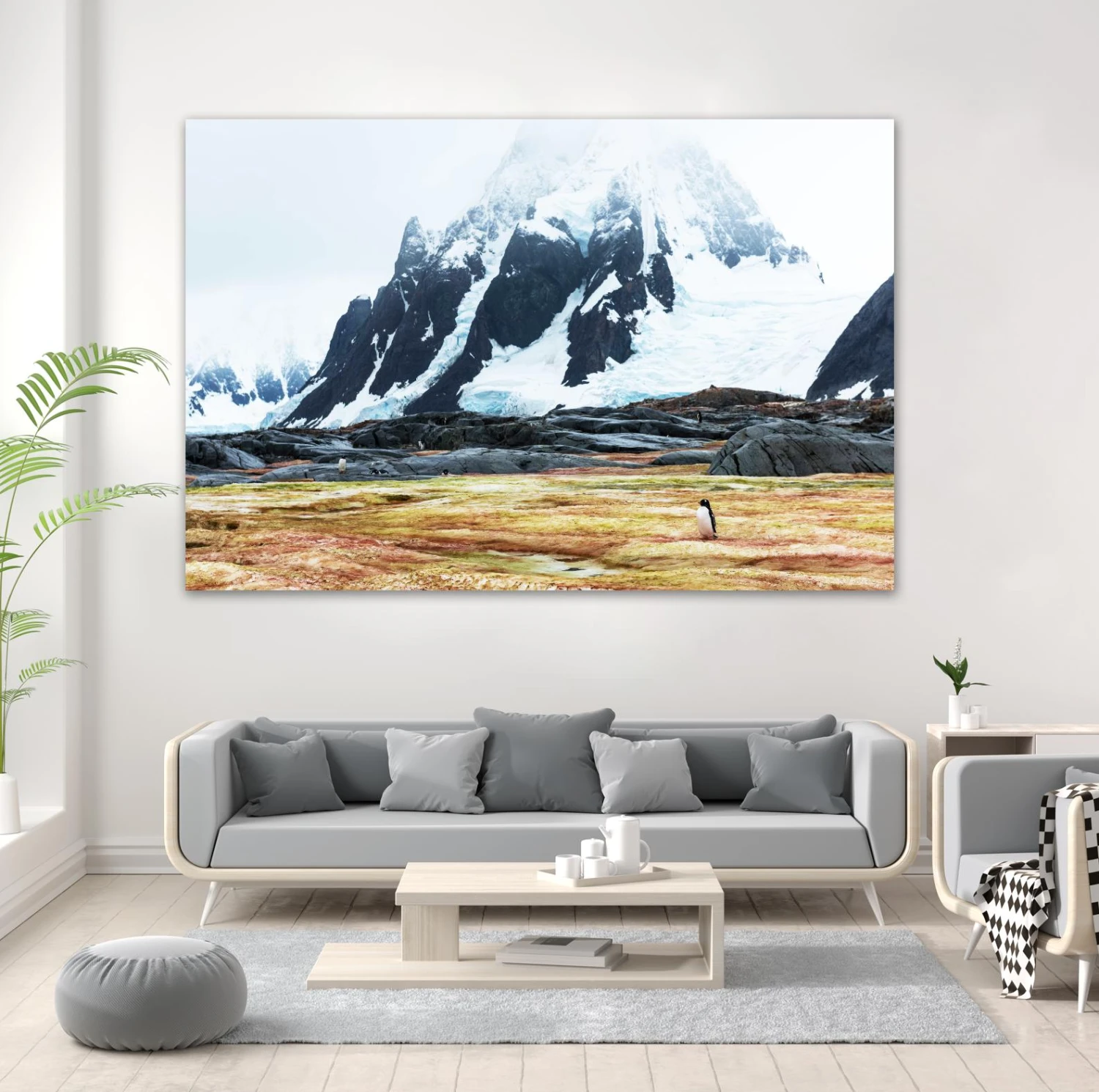 Crossing The Green Algae Field, Antarctica - Image 9