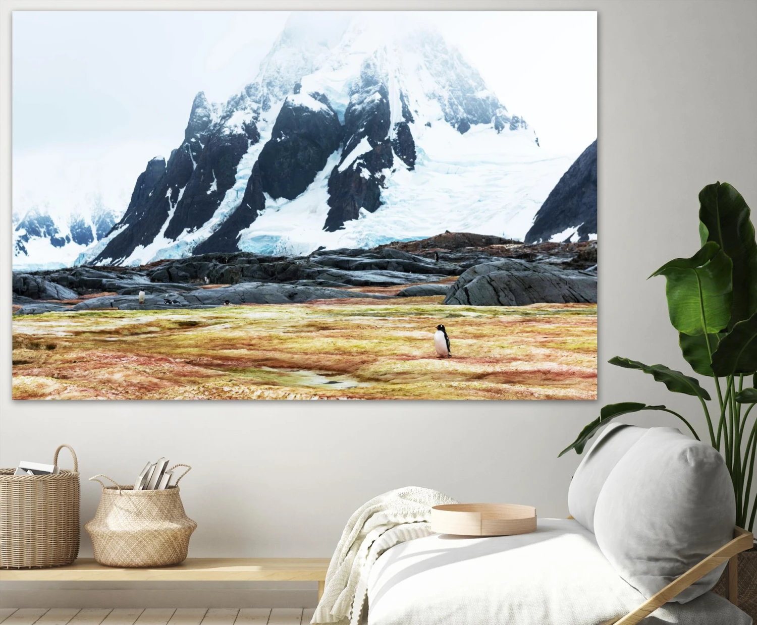 Crossing The Green Algae Field, Antarctica - Image 4