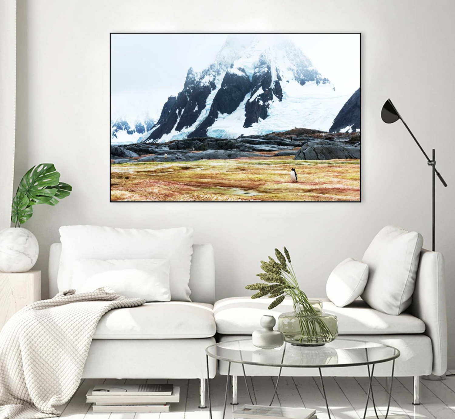 Crossing The Green Algae Field, Antarctica - Image 12