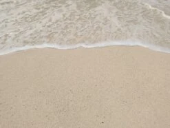 Where The Ocean Meets