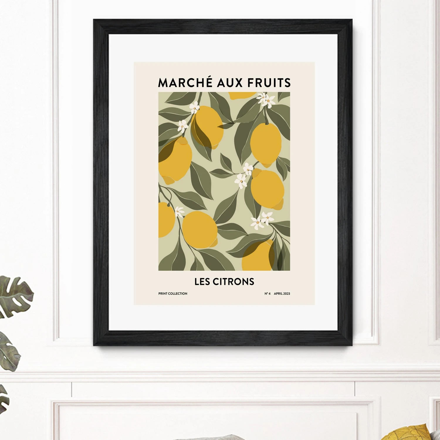 Les Agrumes - Image 16