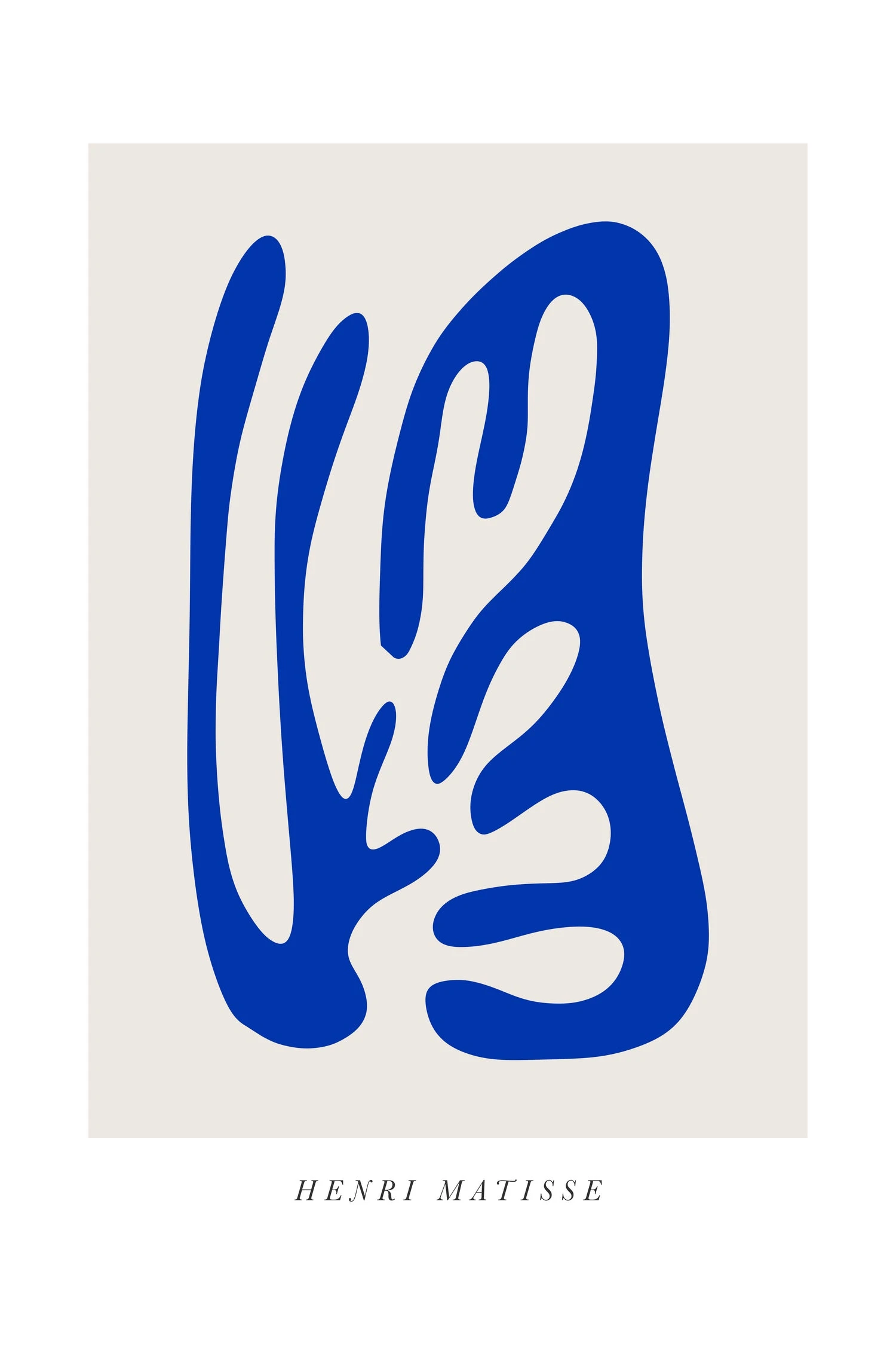 Matisse Papiers Découpés