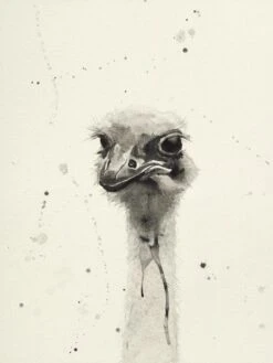 Watercolor Ostrich 2