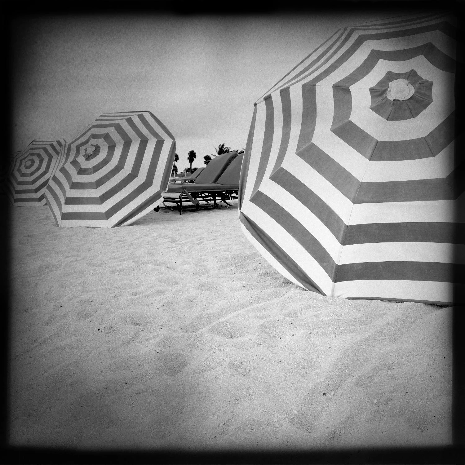 Wish You Were Here 1