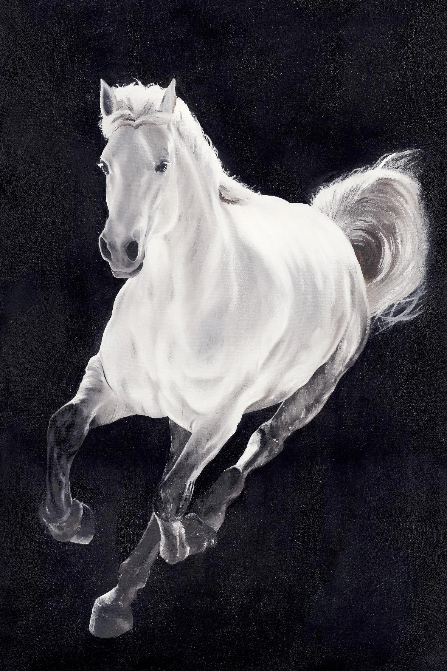 White Horse