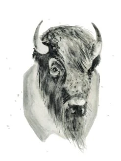 Bison Bust