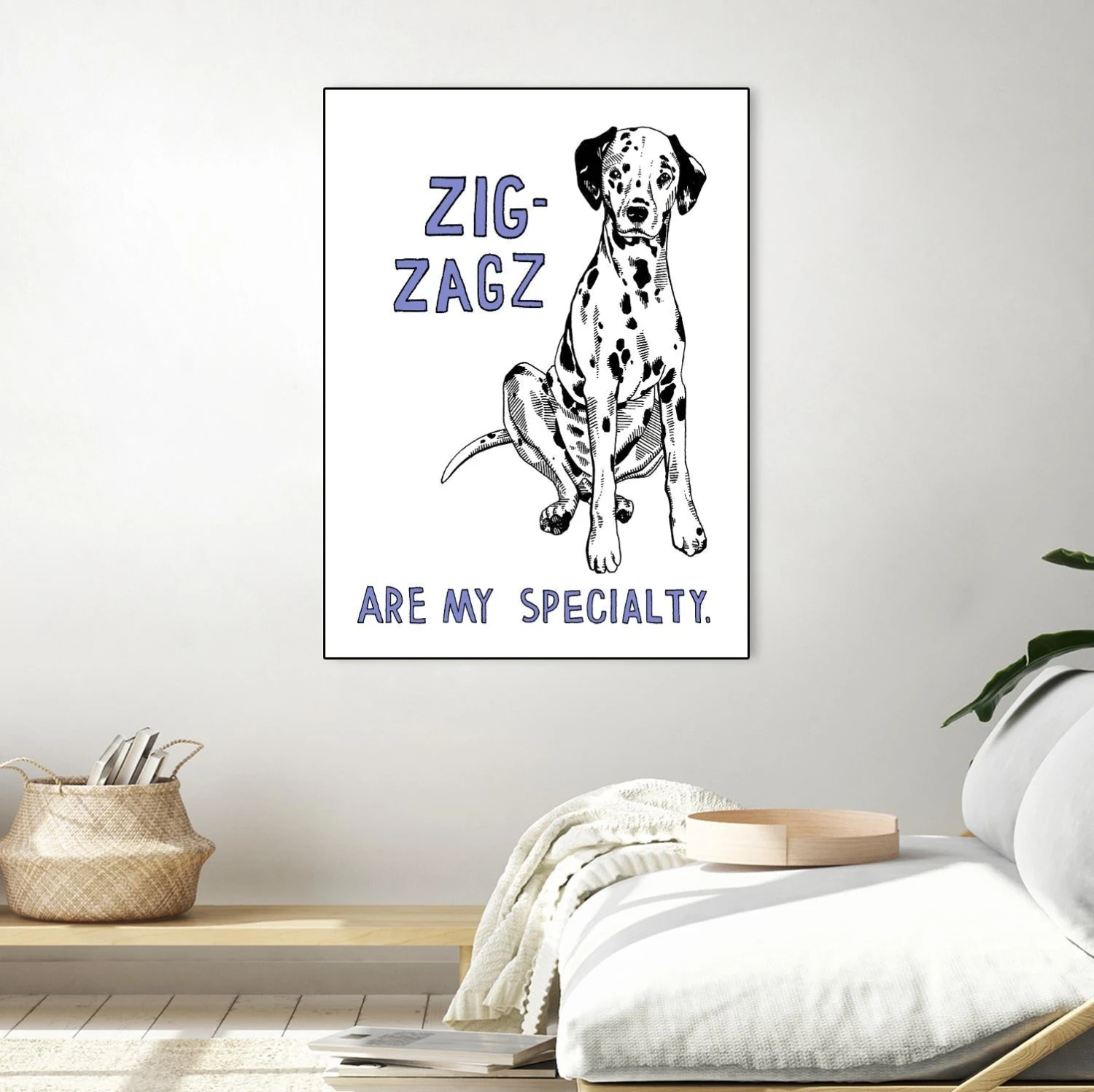 Dalmation - Image 16