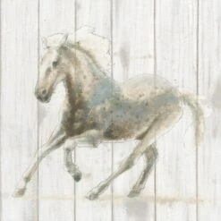 Stallion II On Birch