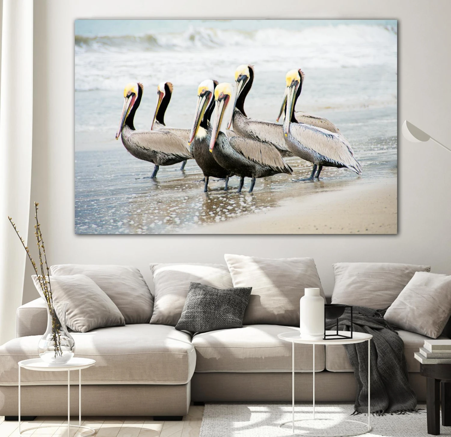 Pacific Cool IV Crop - Image 7