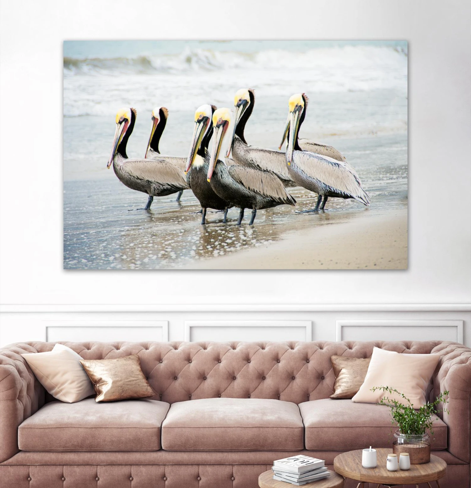 Pacific Cool IV Crop - Image 3