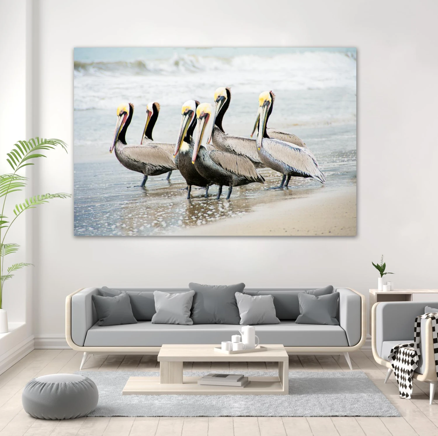 Pacific Cool IV Crop - Image 9