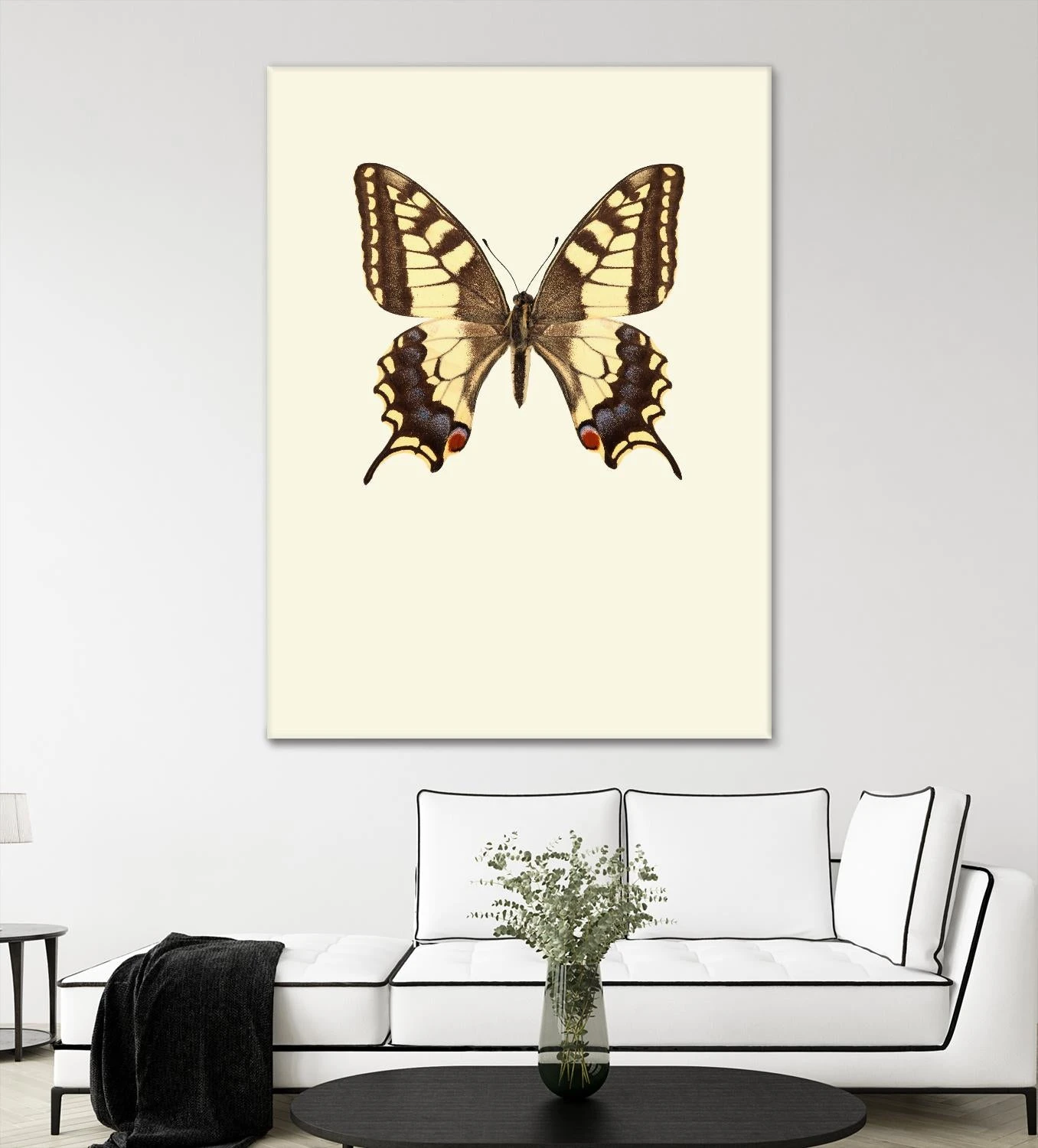 Papilio Machaon - Image 3