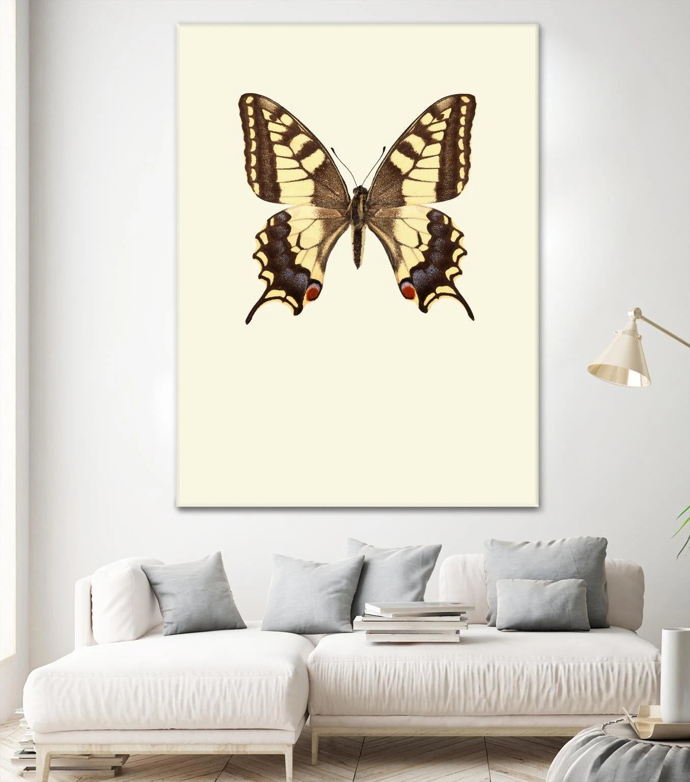 Papilio Machaon - Image 2
