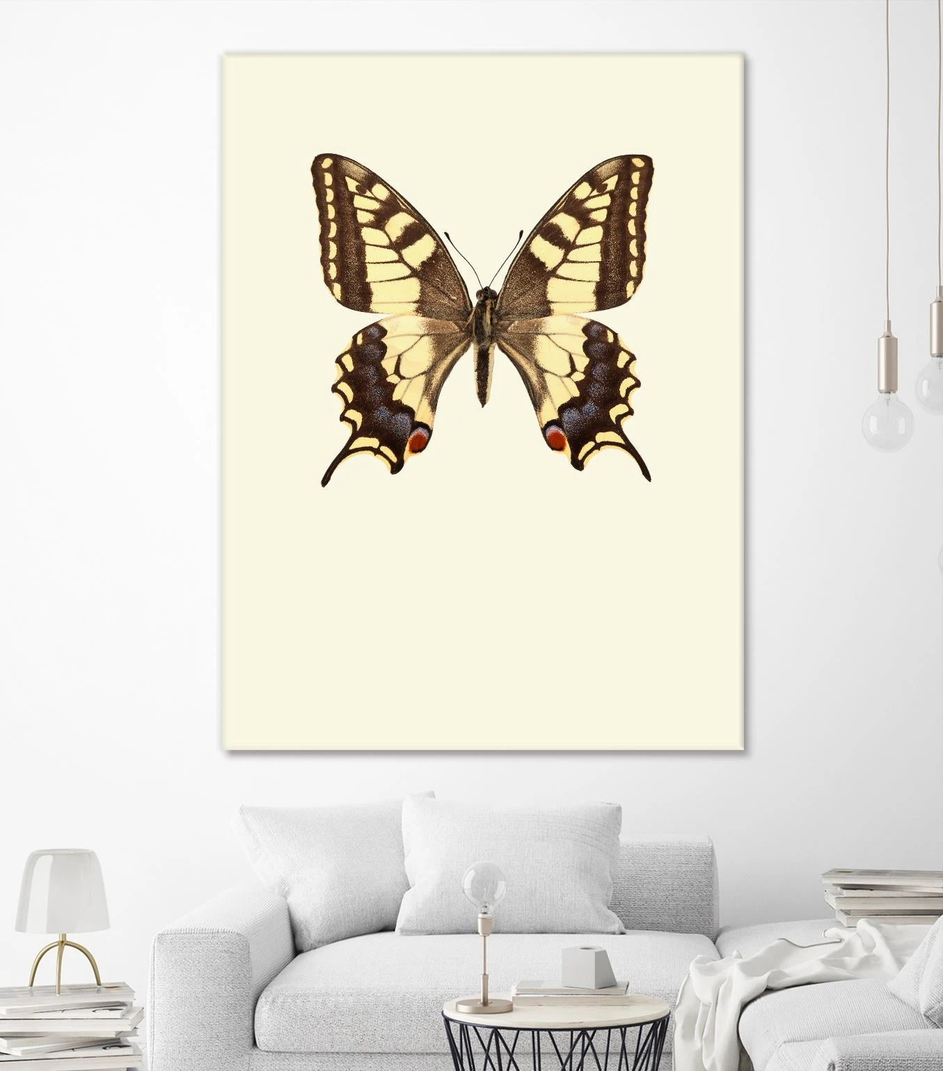 Papilio Machaon - Image 5