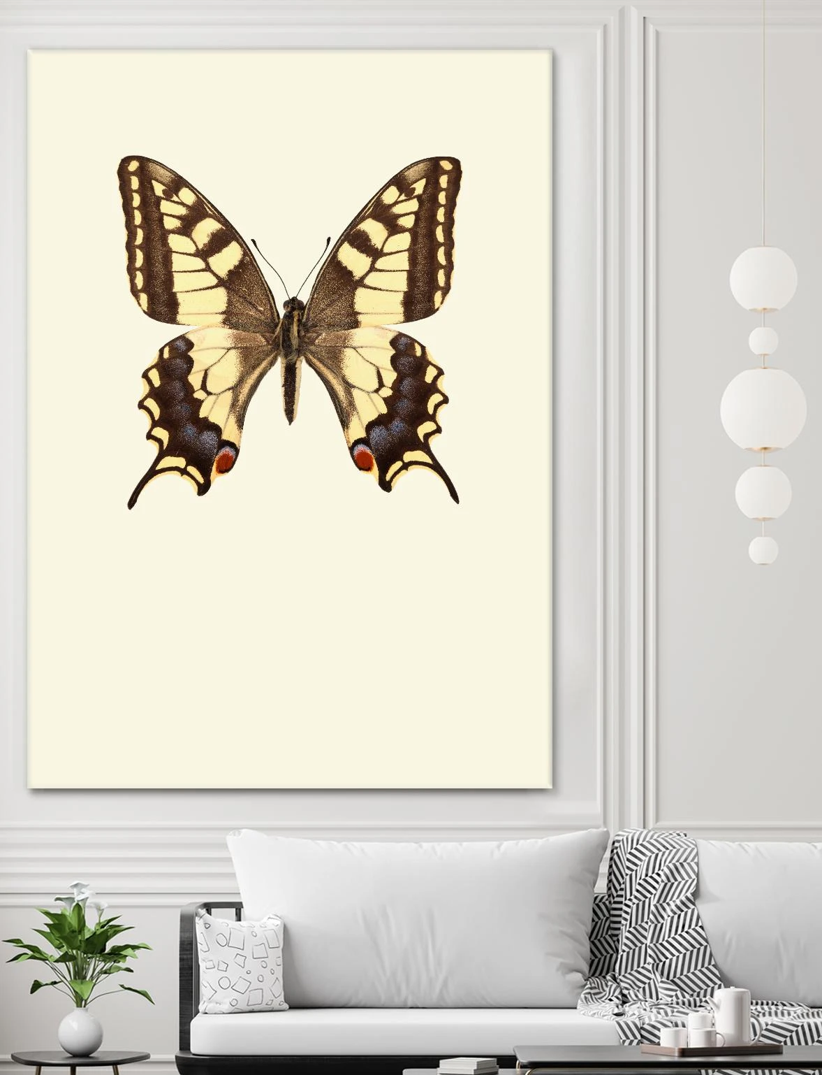 Papilio Machaon - Image 10