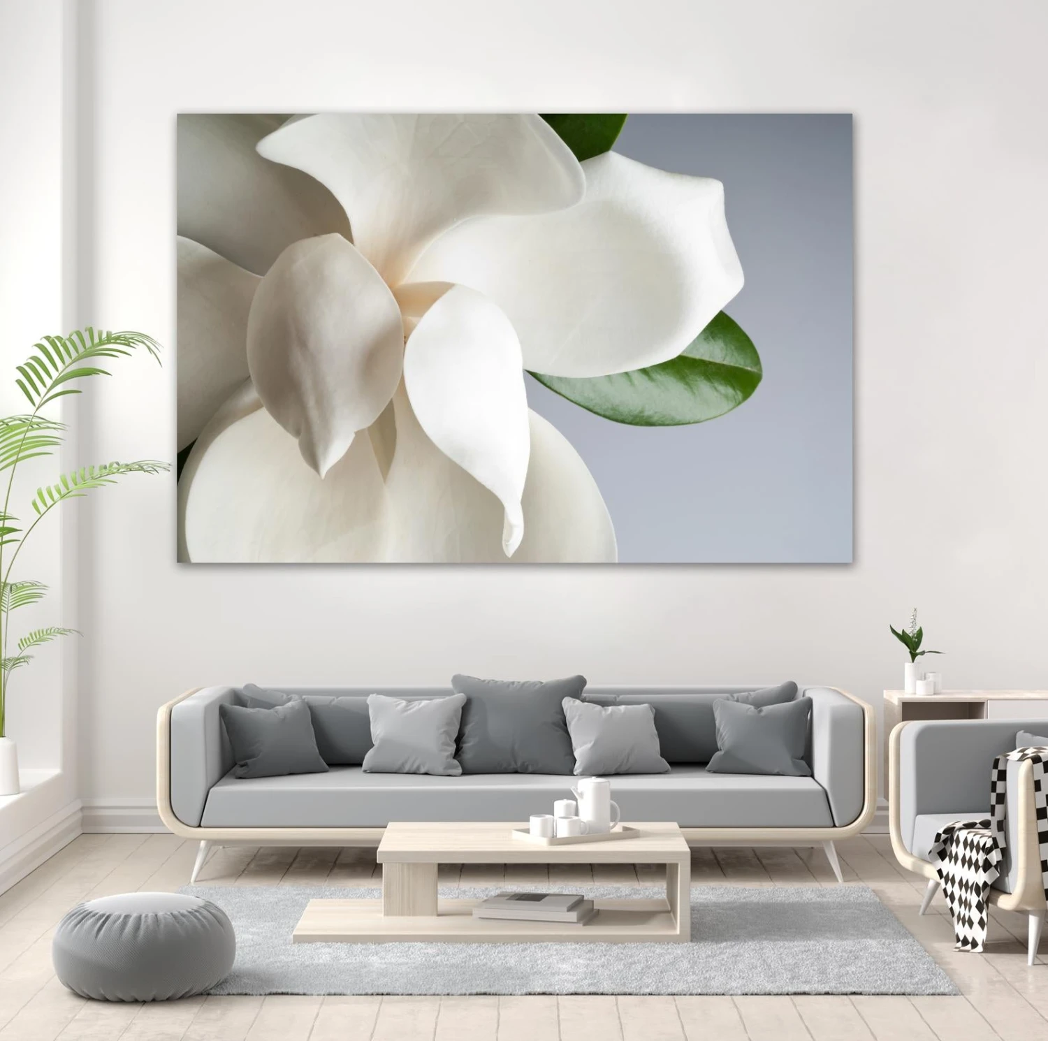 Magnolia - Image 9