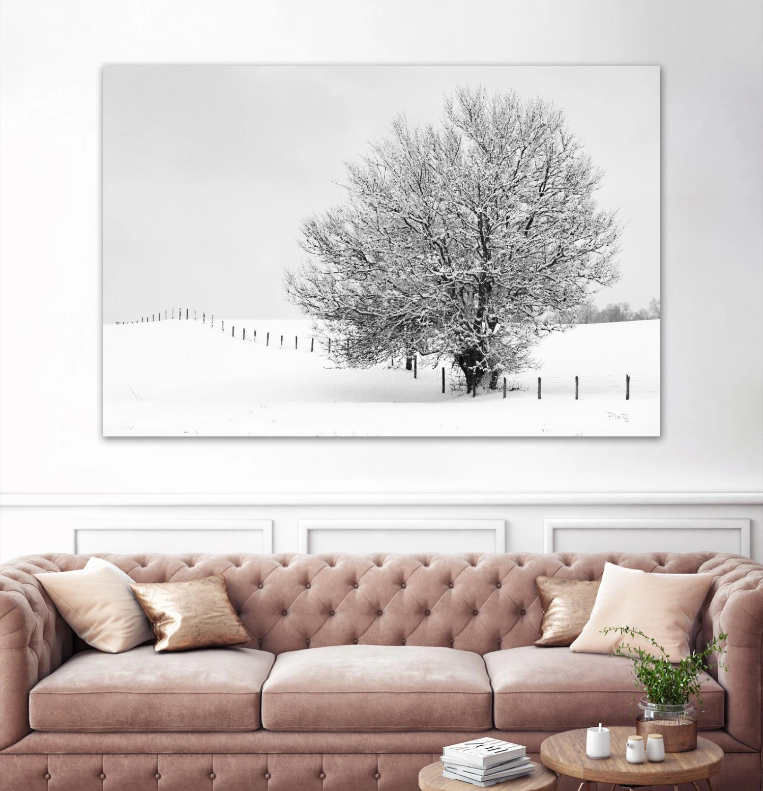 Depth Of Field - Image 3