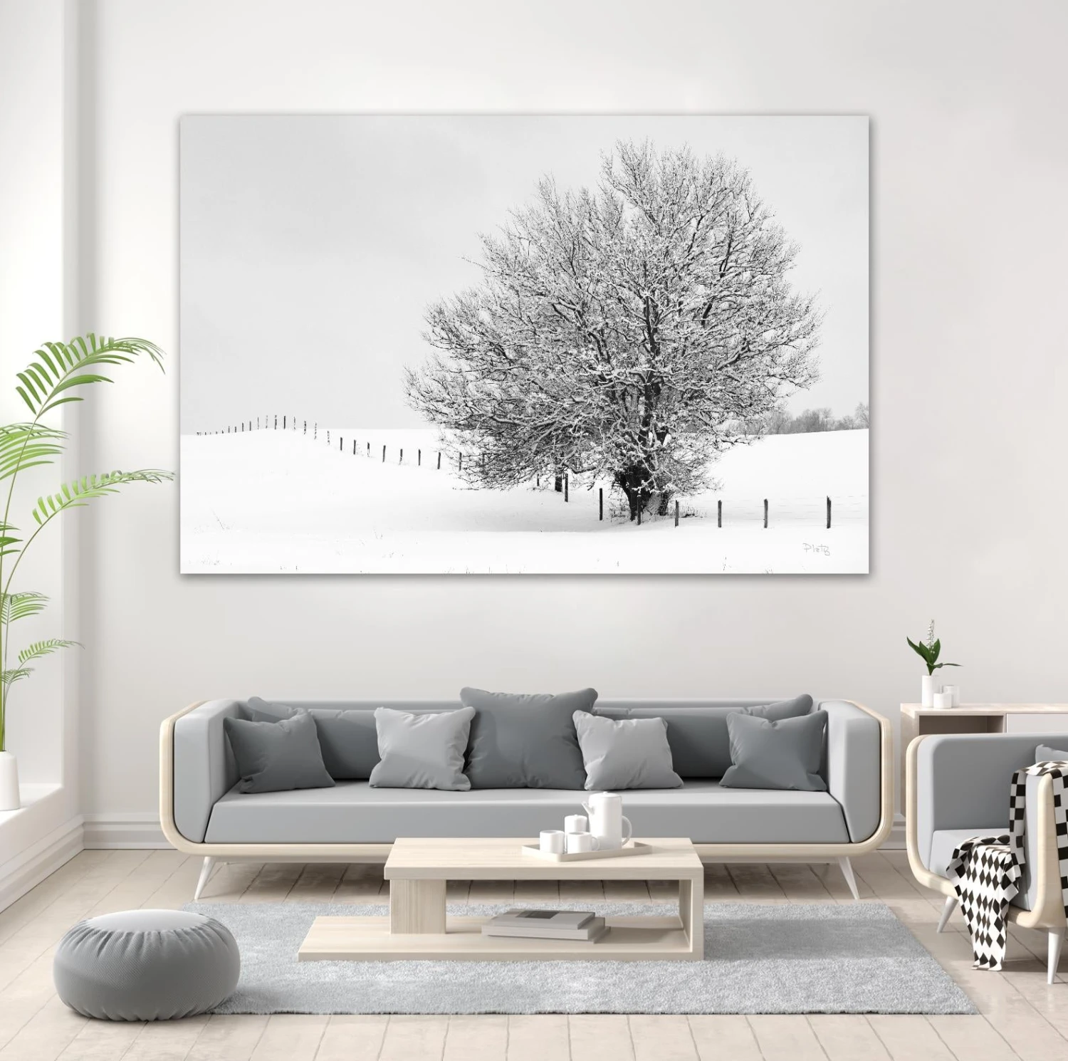 Depth Of Field - Image 9