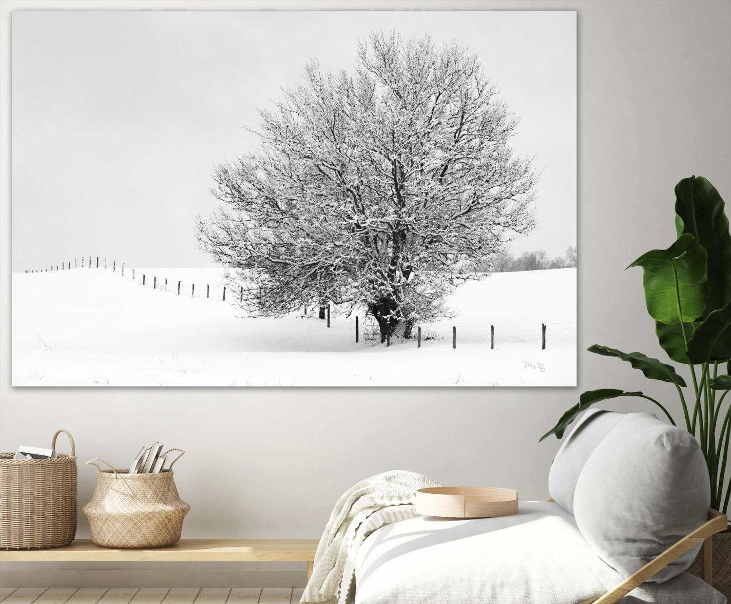 Depth Of Field - Image 4