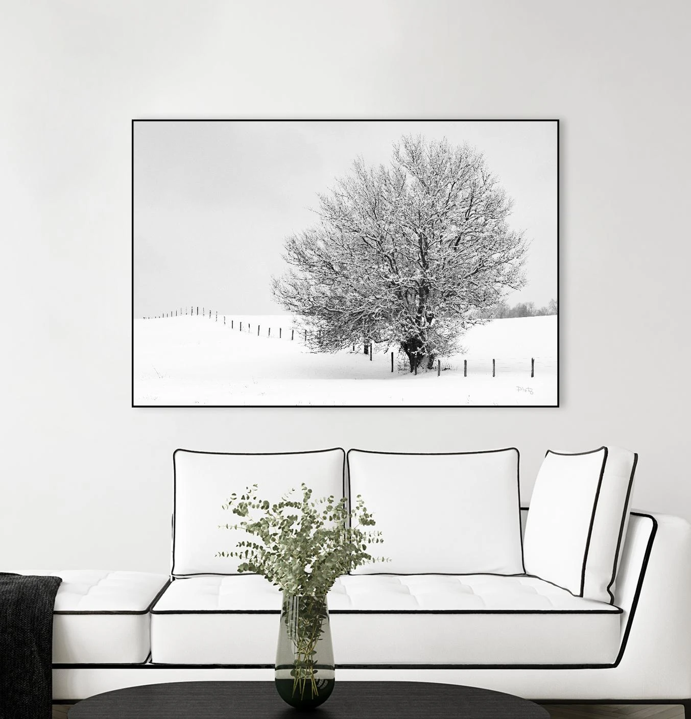 Depth Of Field - Image 15