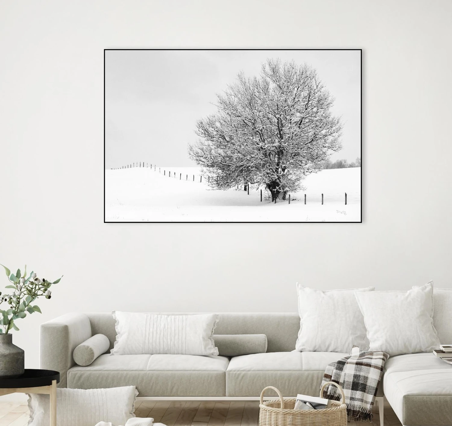 Depth Of Field - Image 16