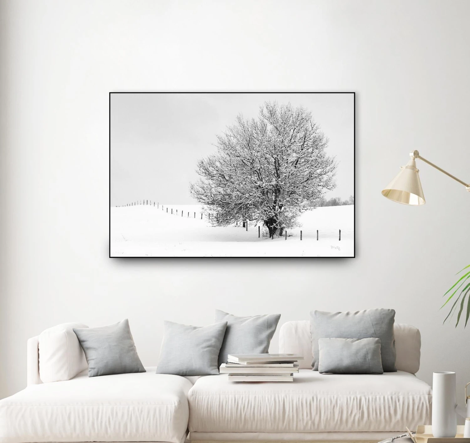 Depth Of Field - Image 14