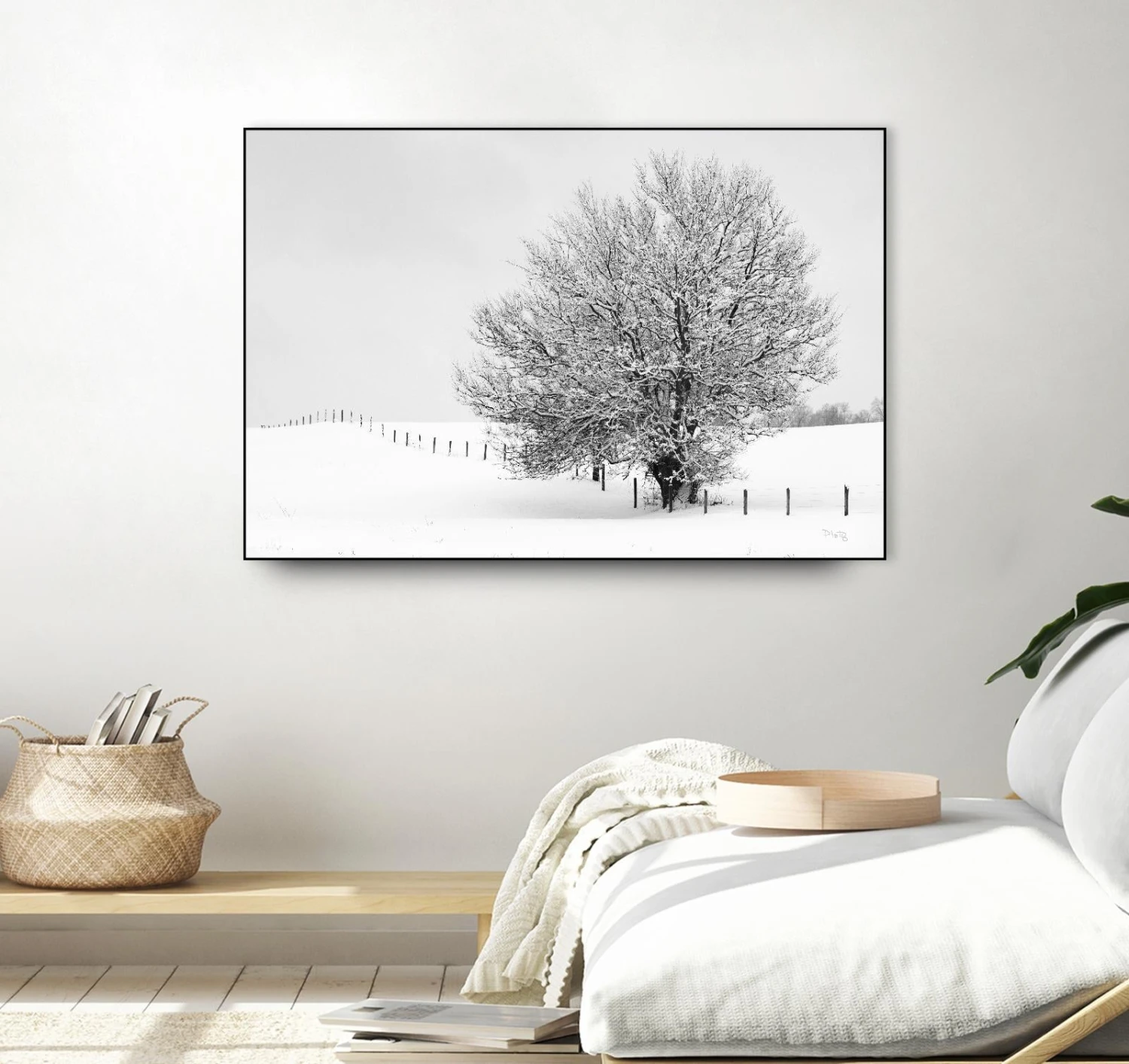 Depth Of Field - Image 13