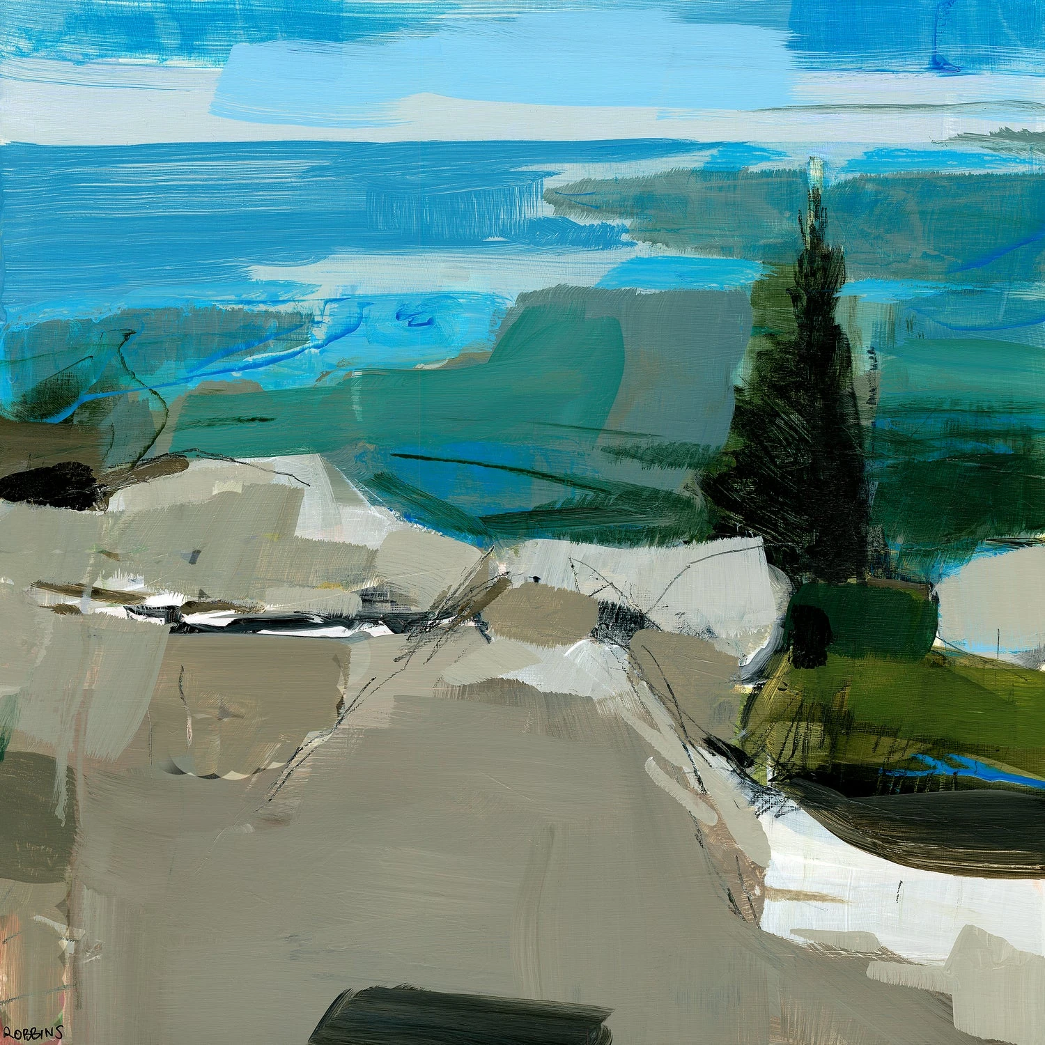 Camden Hills State Park No. 1