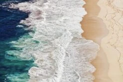 Feldtkeller - Where The Ocean Ends