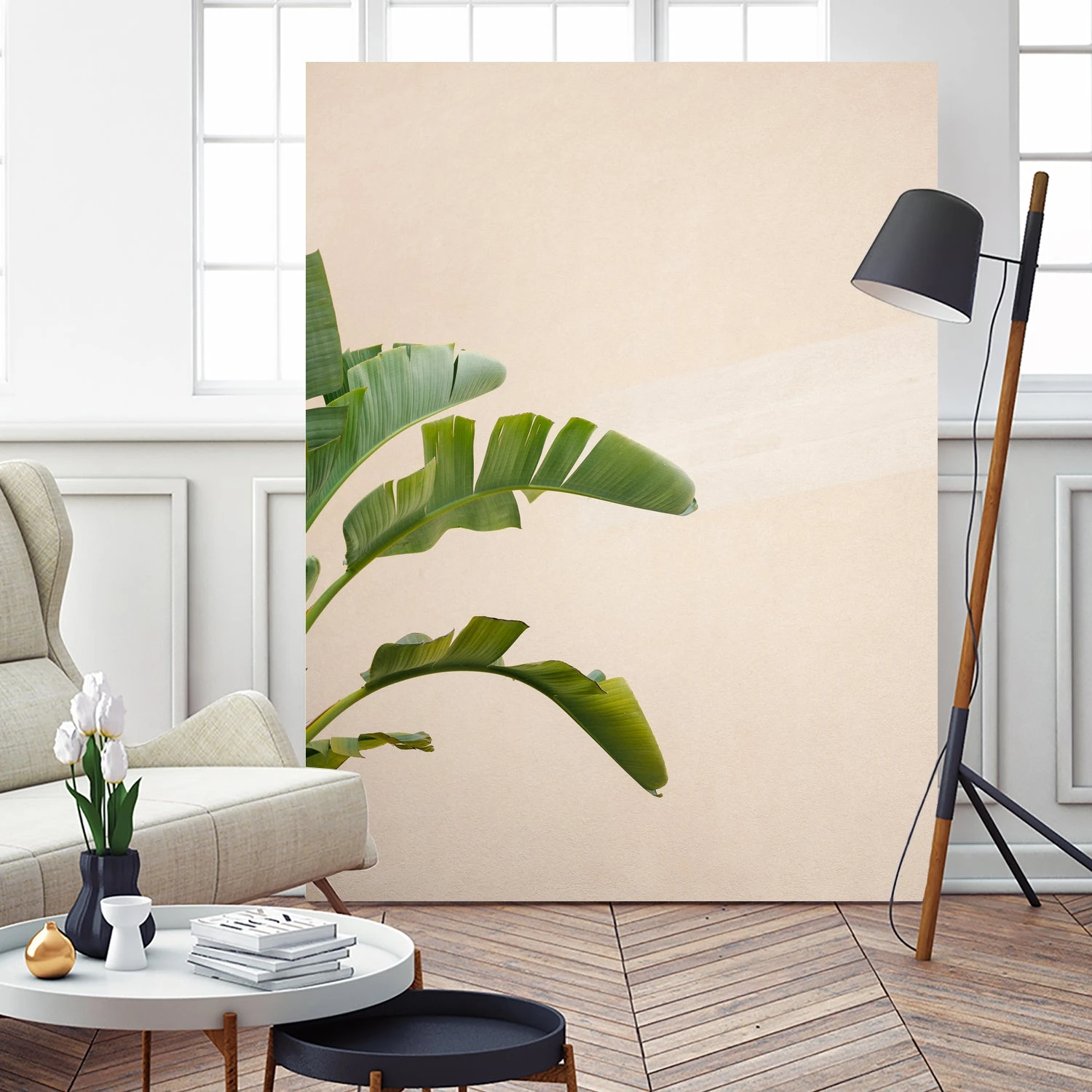 Cannes Banana Plant - Image 9