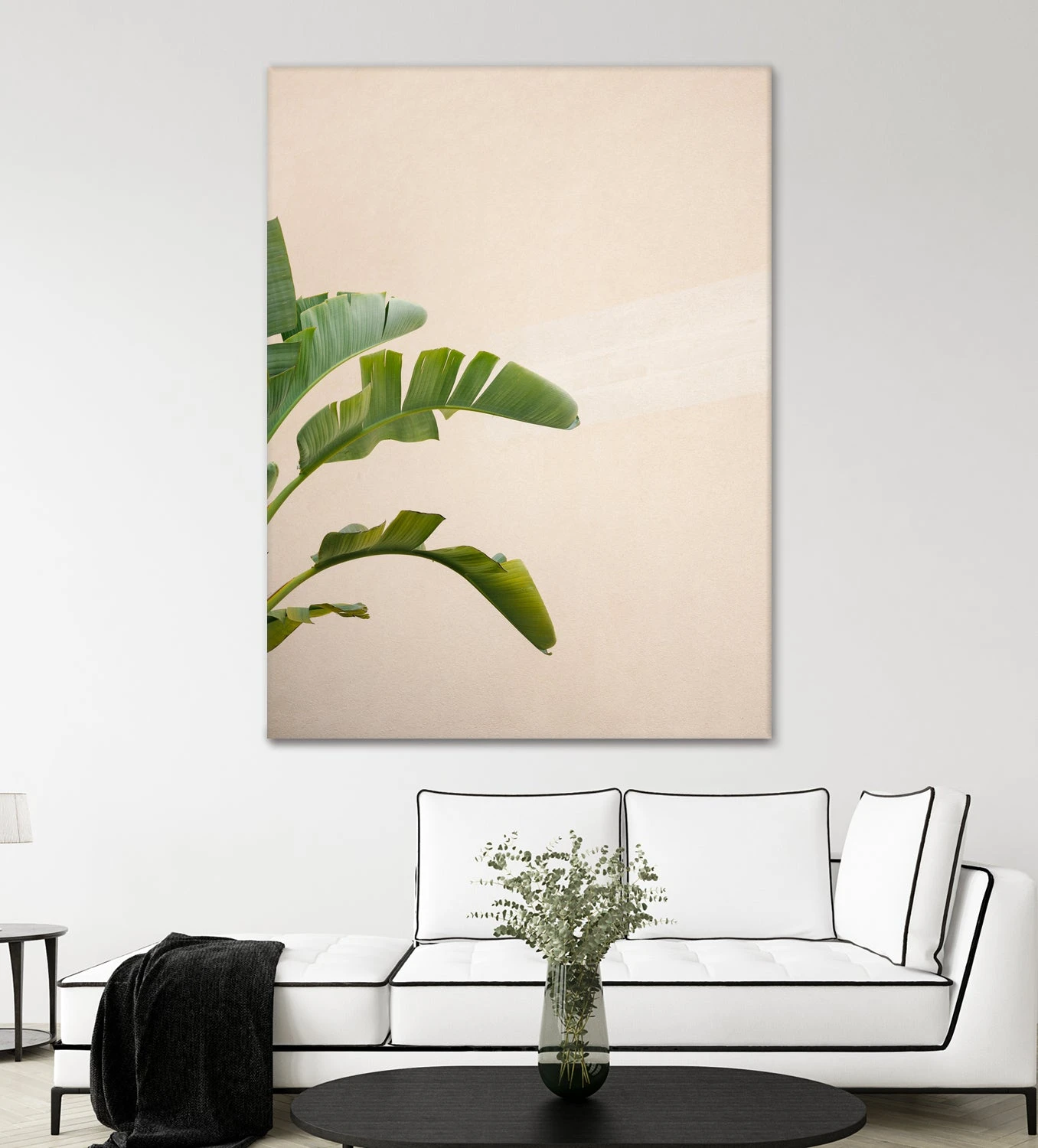 Cannes Banana Plant - Image 3