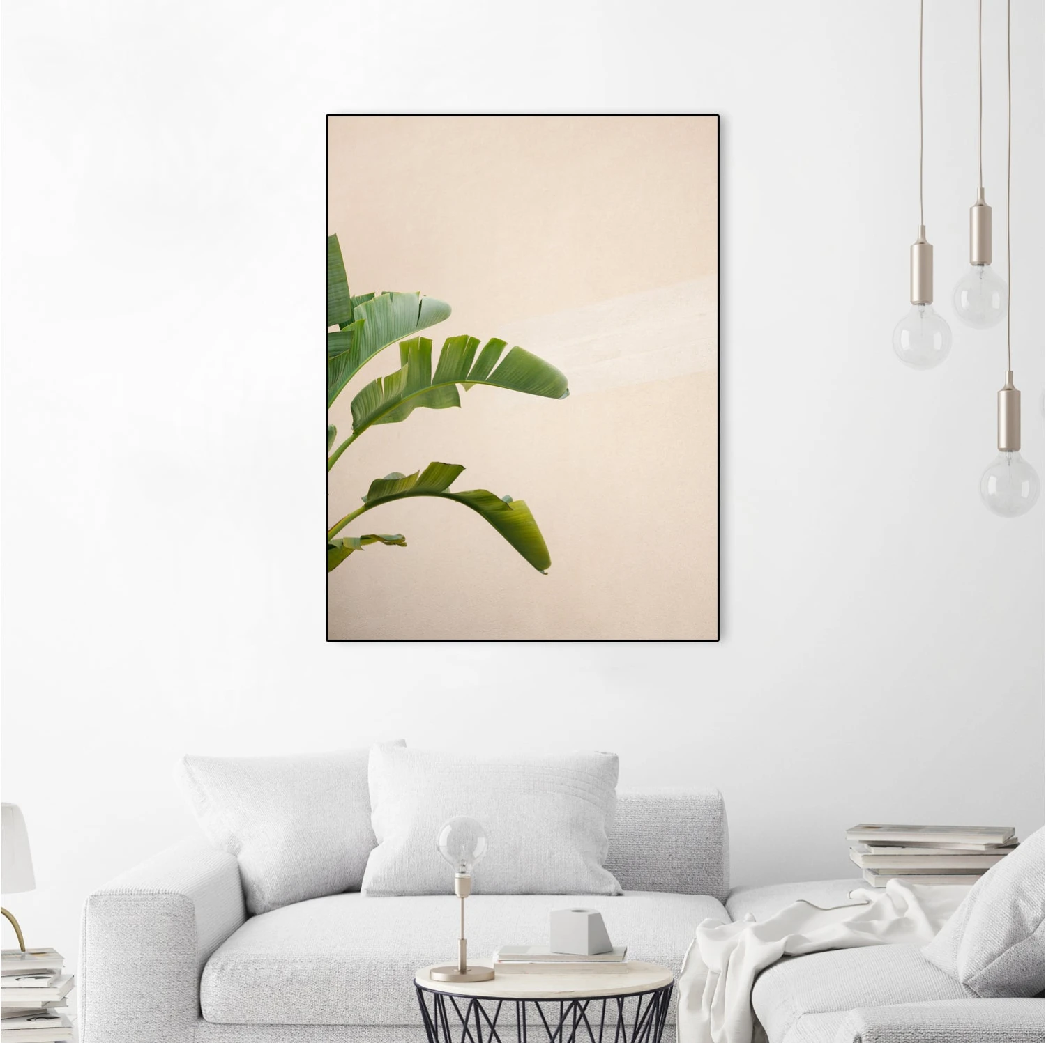 Cannes Banana Plant - Image 17