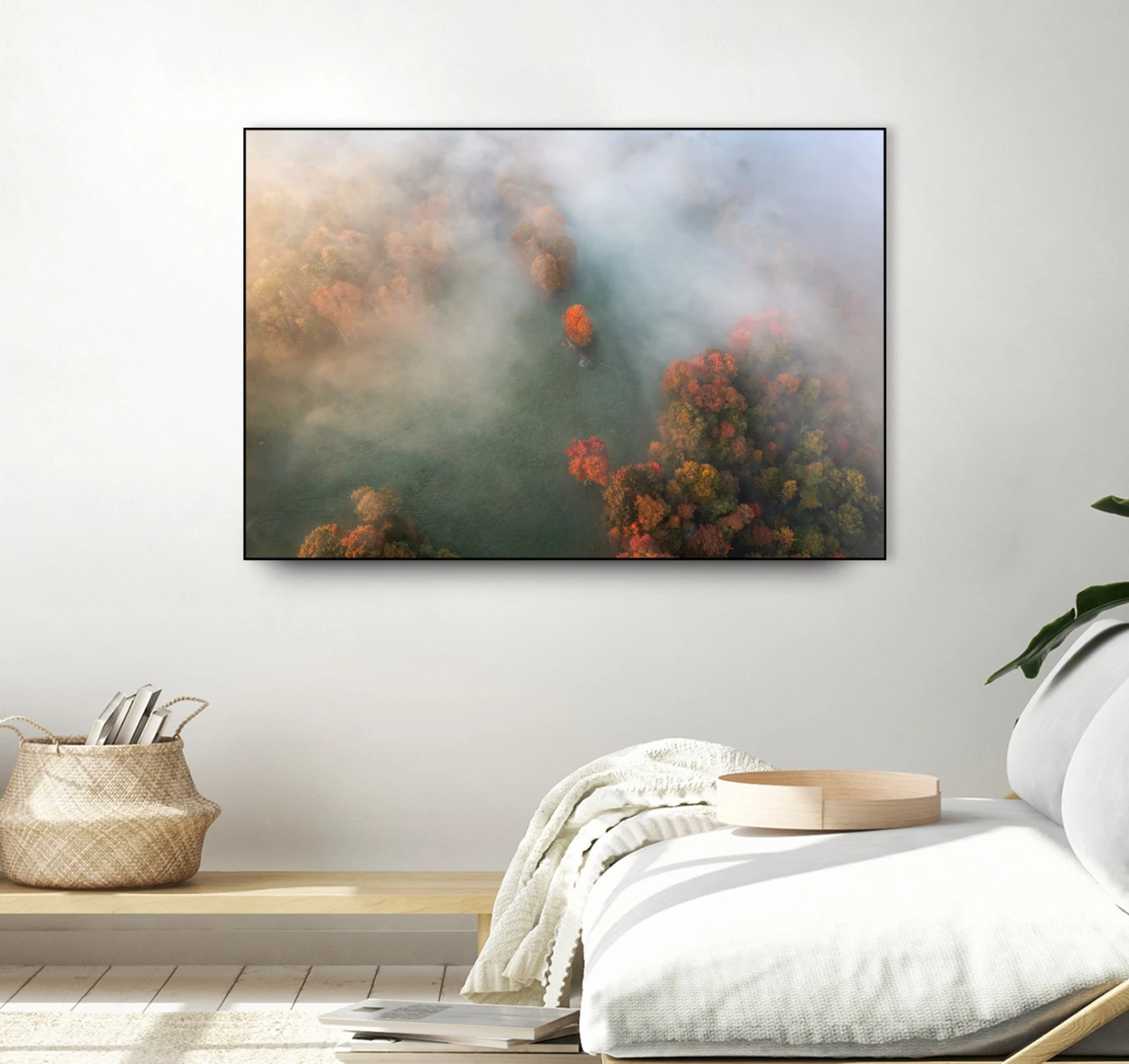 Dream Backyard - Image 3