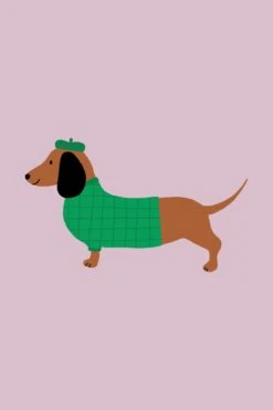Dachshund