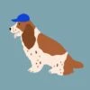 Cocker Spaniel With Cap