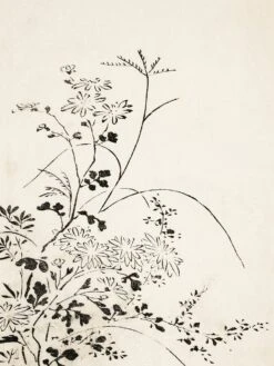 Autumn Flowers And Grasses (1762)