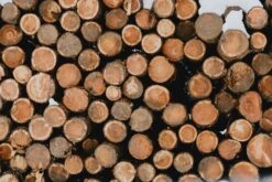 Stacked Timber Beauty