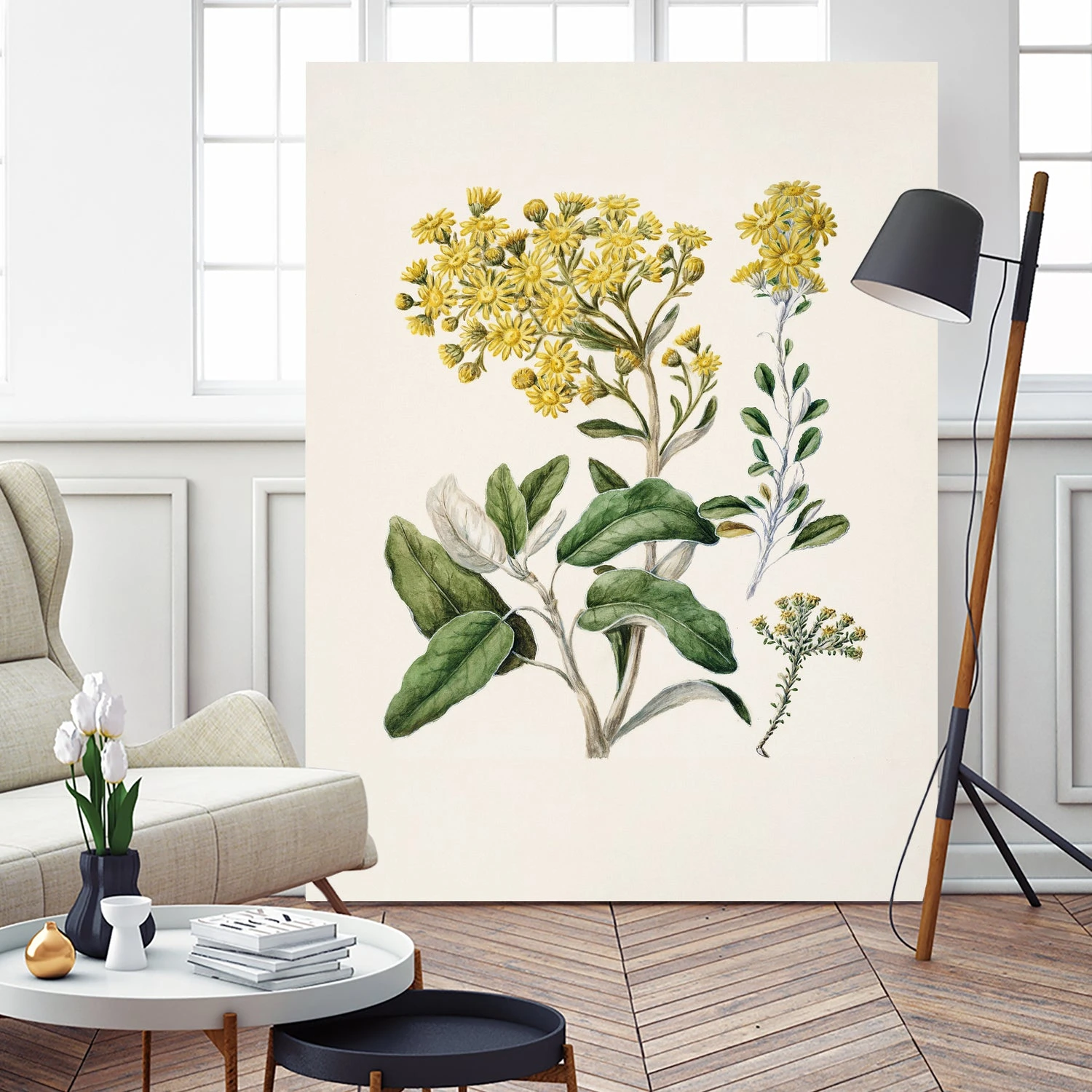 Daisy Brachyglottis Drawn By Sarah Featon (1848a1927) - Image 9