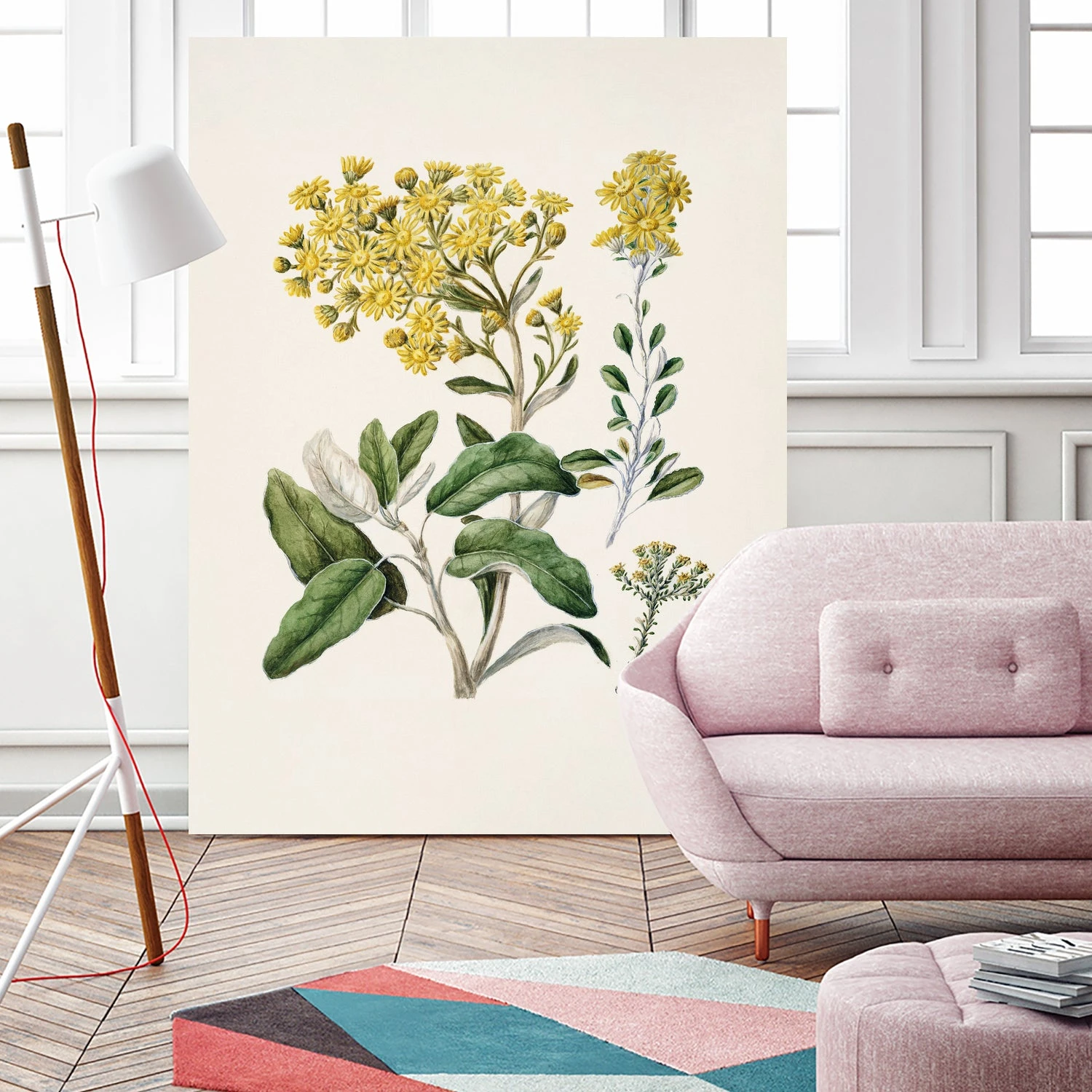 Daisy Brachyglottis Drawn By Sarah Featon (1848a1927) - Image 11