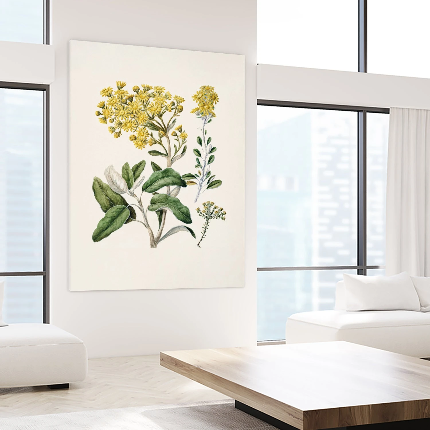 Daisy Brachyglottis Drawn By Sarah Featon (1848a1927) - Image 8