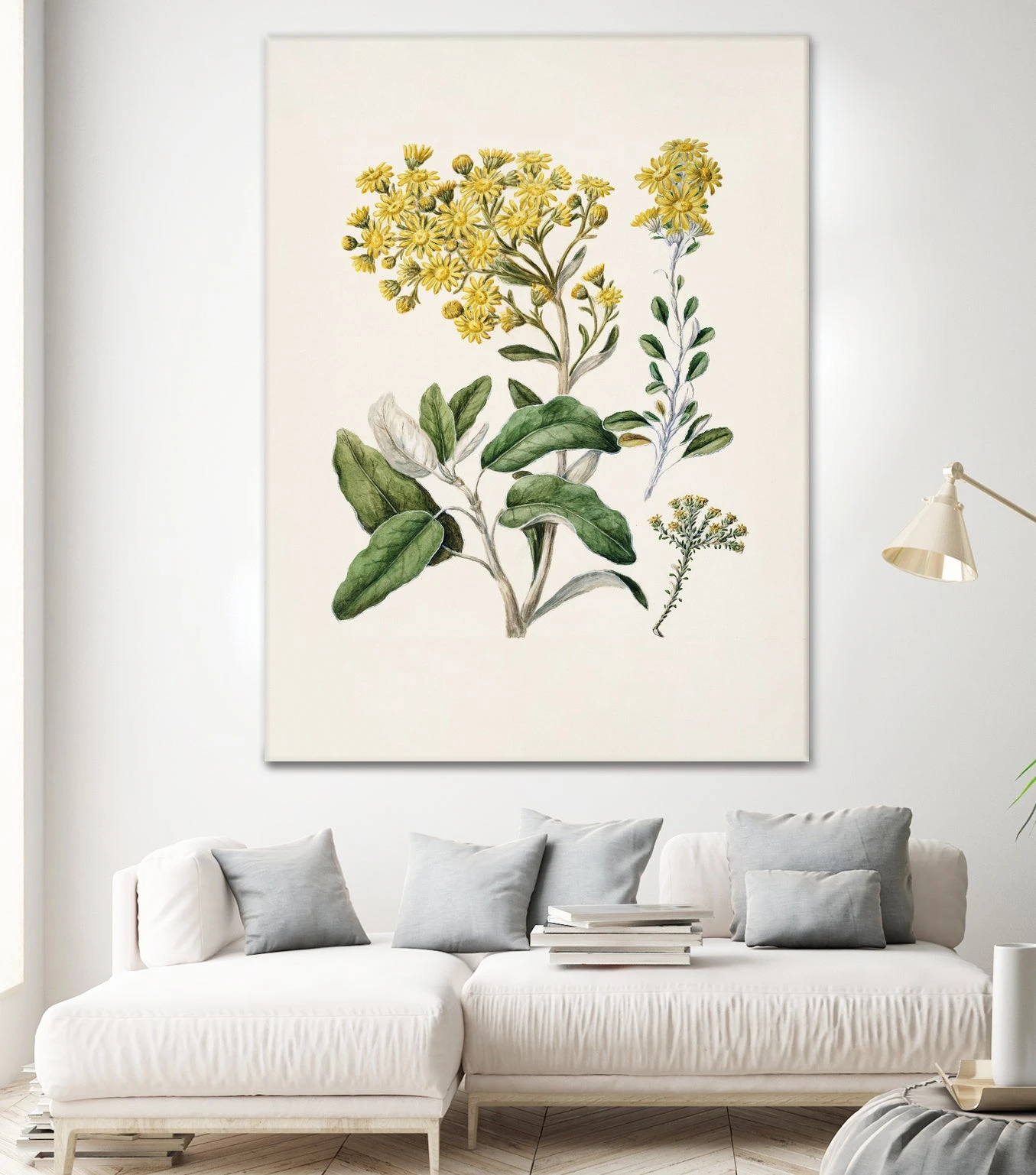 Daisy Brachyglottis Drawn By Sarah Featon (1848a1927) - Image 2