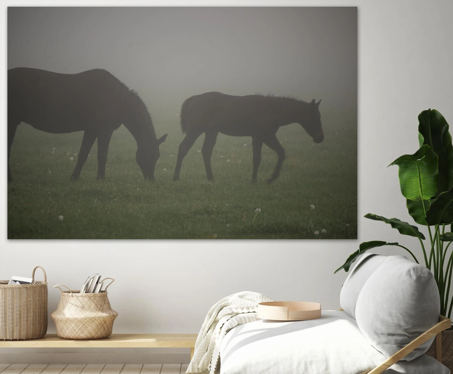 Photograph 3 - Image 4