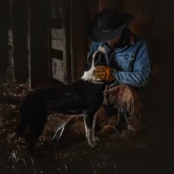 Cowboy's Devotion