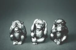 Wise Monkeys