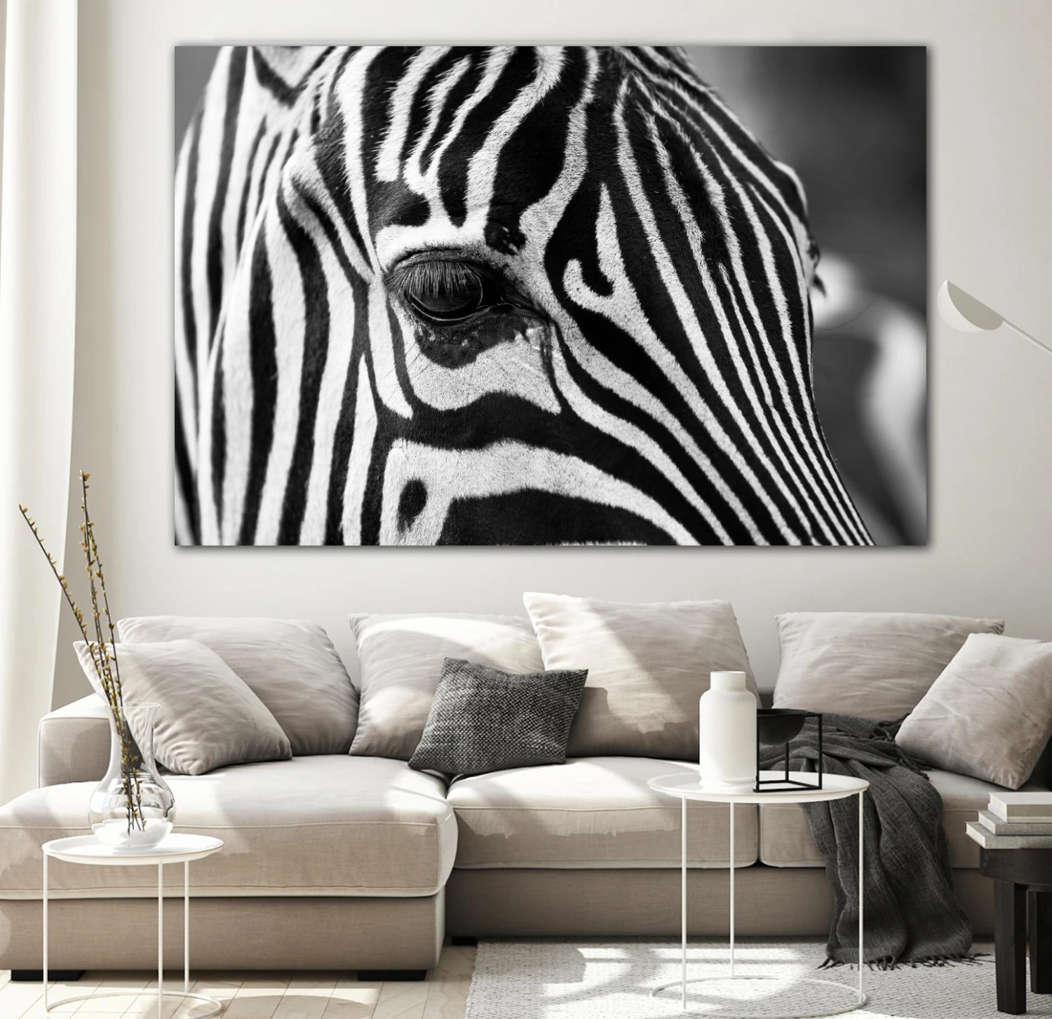 Zoomed Zebra - Image 7