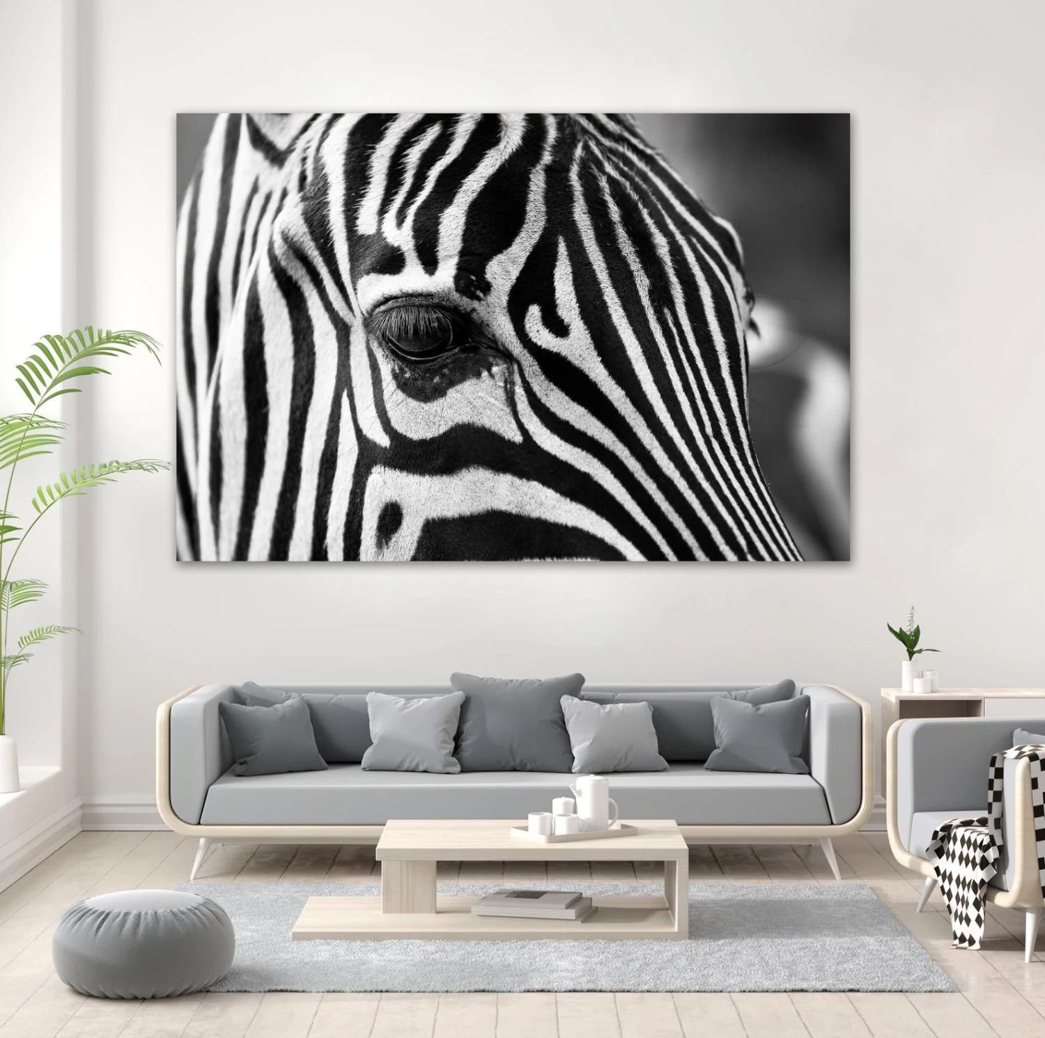 Zoomed Zebra - Image 9